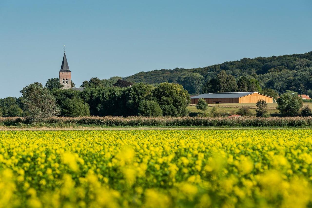 B@B Martinushoeve Oudenaarde Ngoại thất bức ảnh