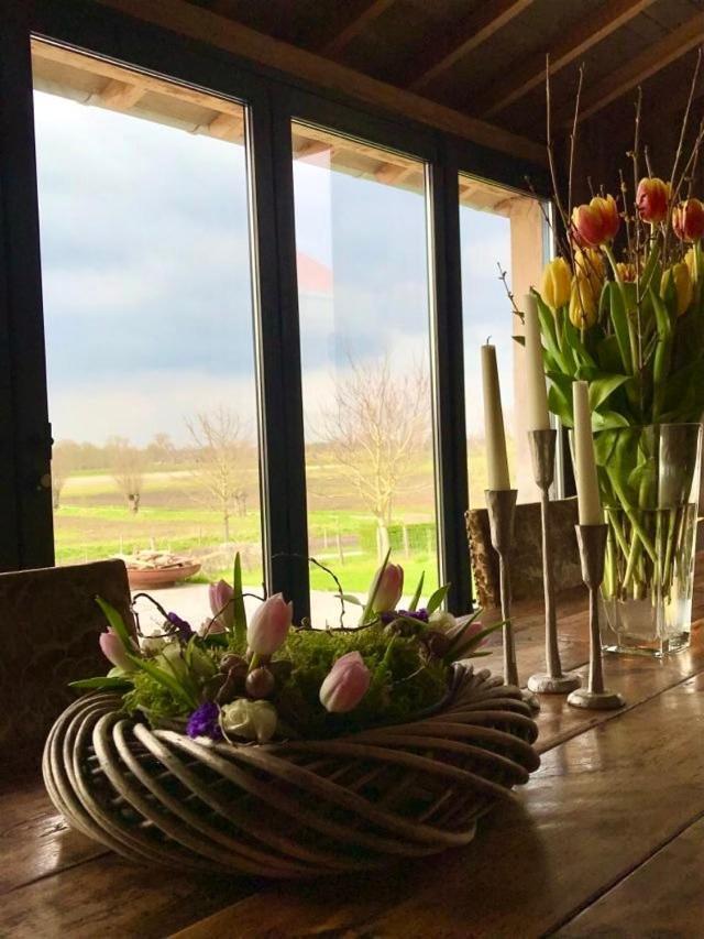 B@B Martinushoeve Oudenaarde Ngoại thất bức ảnh